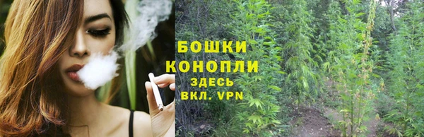 каннабис Баксан