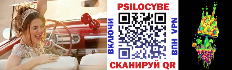 Галлюциногенные грибы Psilocybe  ссылка на мегу рабочий сайт  Туринск 