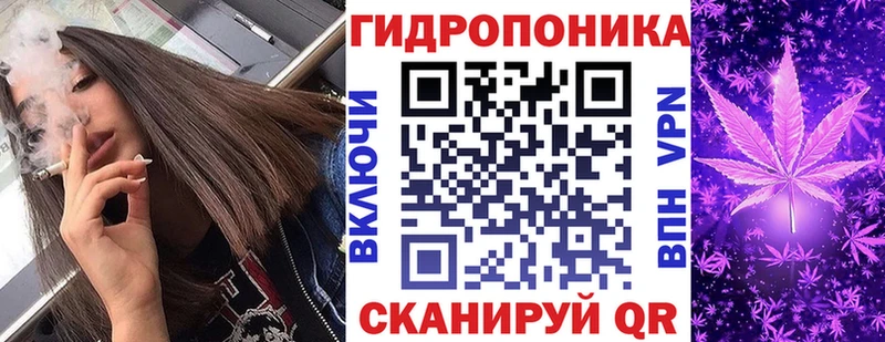 Шишки марихуана семена Туринск